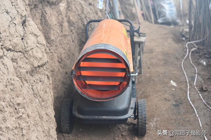 山西農(nóng)民大棚里種香椿，9分地種植70000苗，28元1斤，收入保密