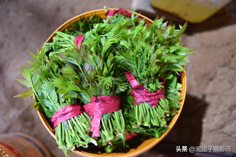 山西農(nóng)民大棚里種香椿，9分地種植70000苗，28元1斤，收入保密