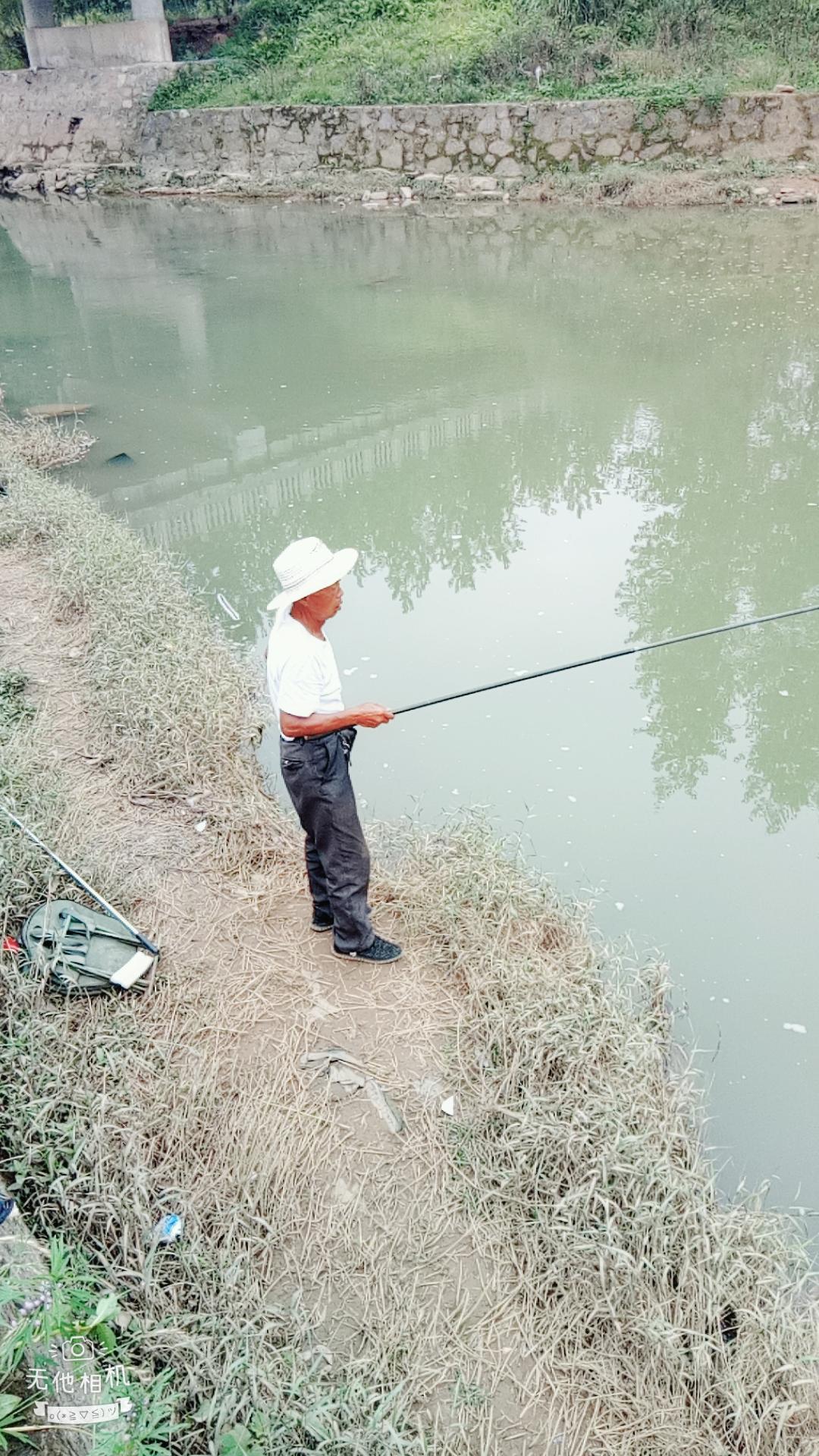 湖北宜都枝城赤溪河，長(zhǎng)在河邊的抗癌藥草