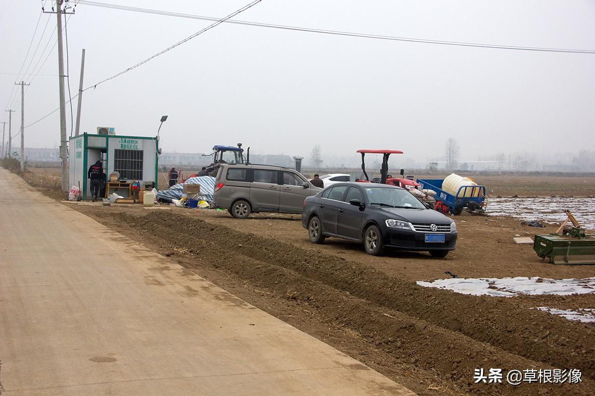 江蘇人到安徽種藥材，年盈利300多萬：有人聽起來像笑話