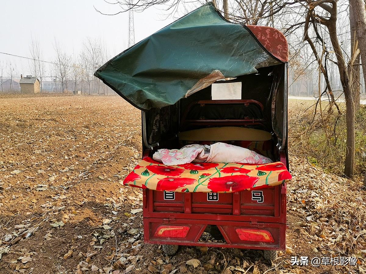 江蘇人到安徽種藥材，年盈利300多萬：有人聽起來像笑話