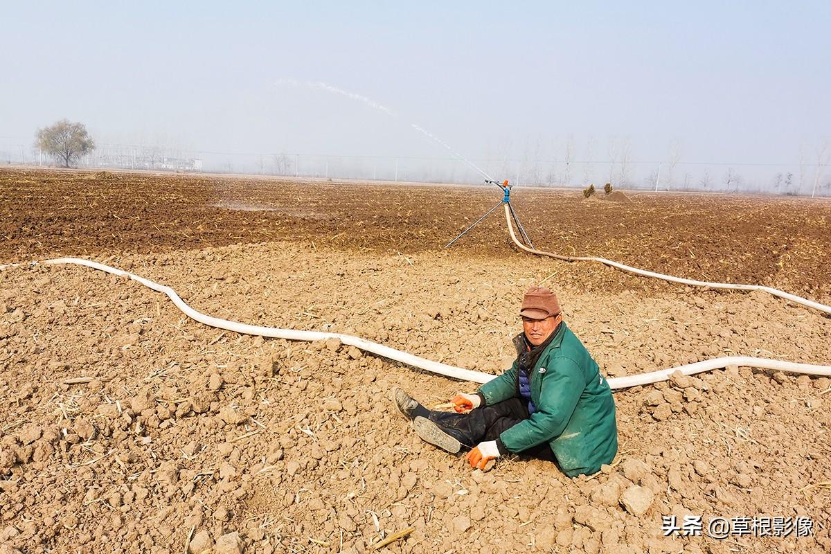 江蘇人到安徽種藥材，年盈利300多萬：有人聽起來像笑話